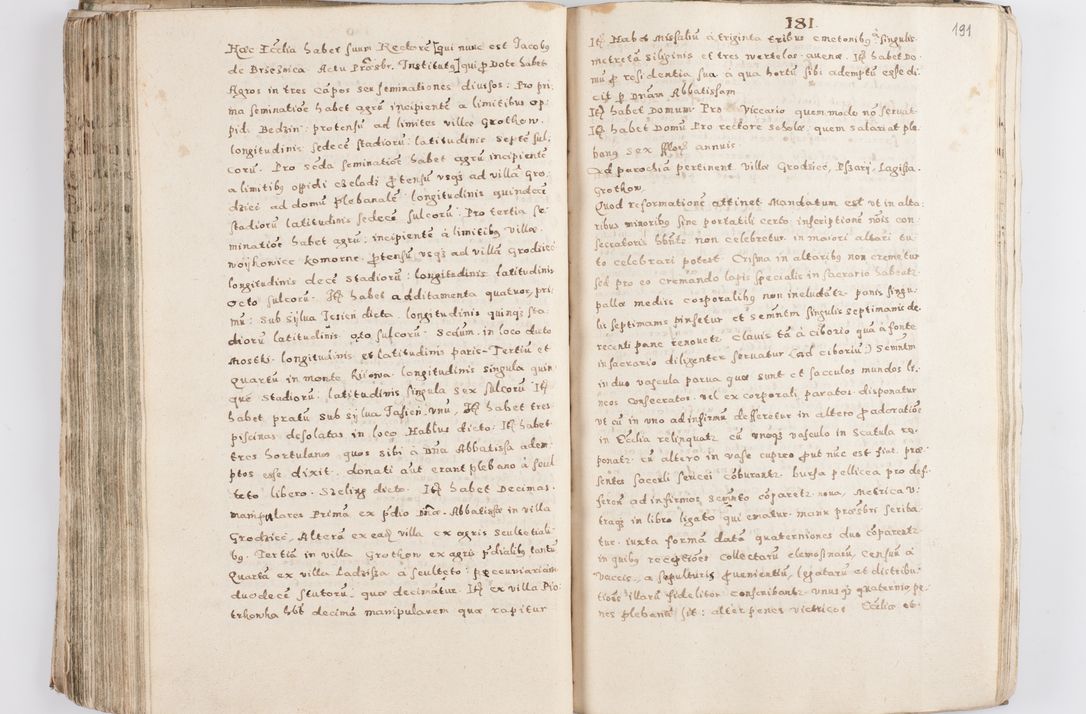Zdjęcie nr 196 dla obiektu archiwalnego: Acta visitationis exterioris decanatuum Skalnensis, Wolbromensis, Leloviensis, Bytomiensis et Plesnensis ad Archid. Crac. pertinentium per R. D. Christoph. Kazimirski, Ep. Kijov Praep. Tarnov. a. D. 1598 factae.