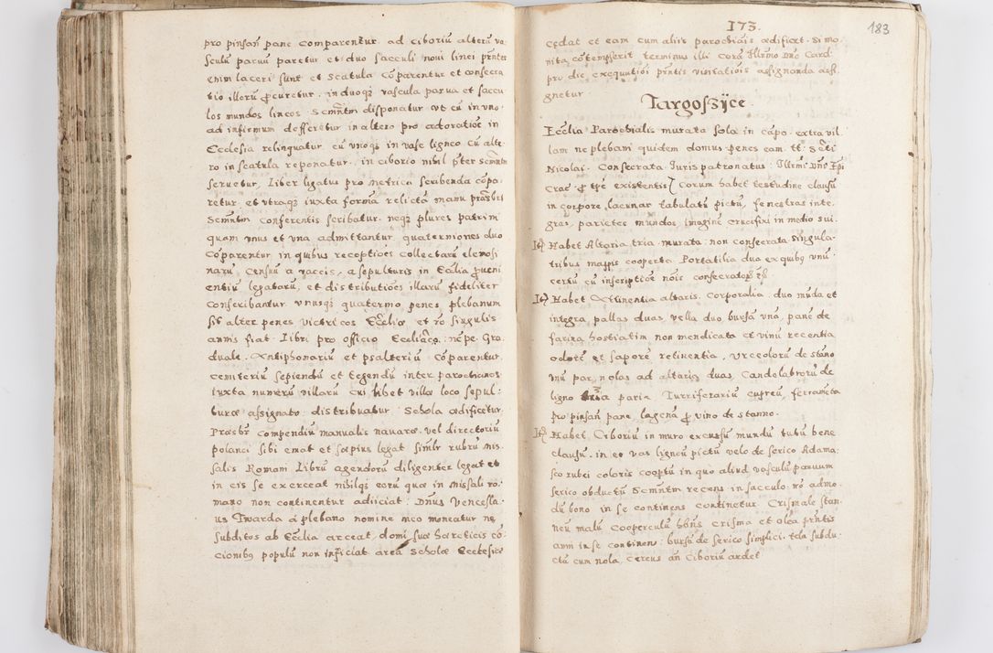 Zdjęcie nr 188 dla obiektu archiwalnego: Acta visitationis exterioris decanatuum Skalnensis, Wolbromensis, Leloviensis, Bytomiensis et Plesnensis ad Archid. Crac. pertinentium per R. D. Christoph. Kazimirski, Ep. Kijov Praep. Tarnov. a. D. 1598 factae.