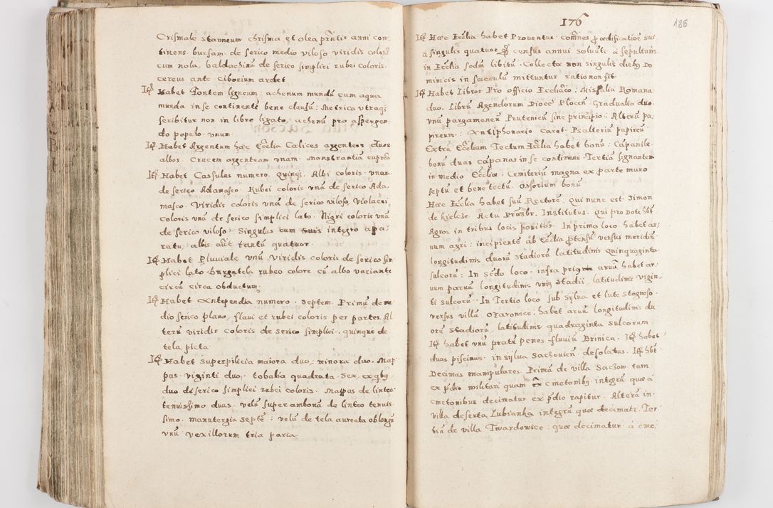 Zdjęcie nr 191 dla obiektu archiwalnego: Acta visitationis exterioris decanatuum Skalnensis, Wolbromensis, Leloviensis, Bytomiensis et Plesnensis ad Archid. Crac. pertinentium per R. D. Christoph. Kazimirski, Ep. Kijov Praep. Tarnov. a. D. 1598 factae.