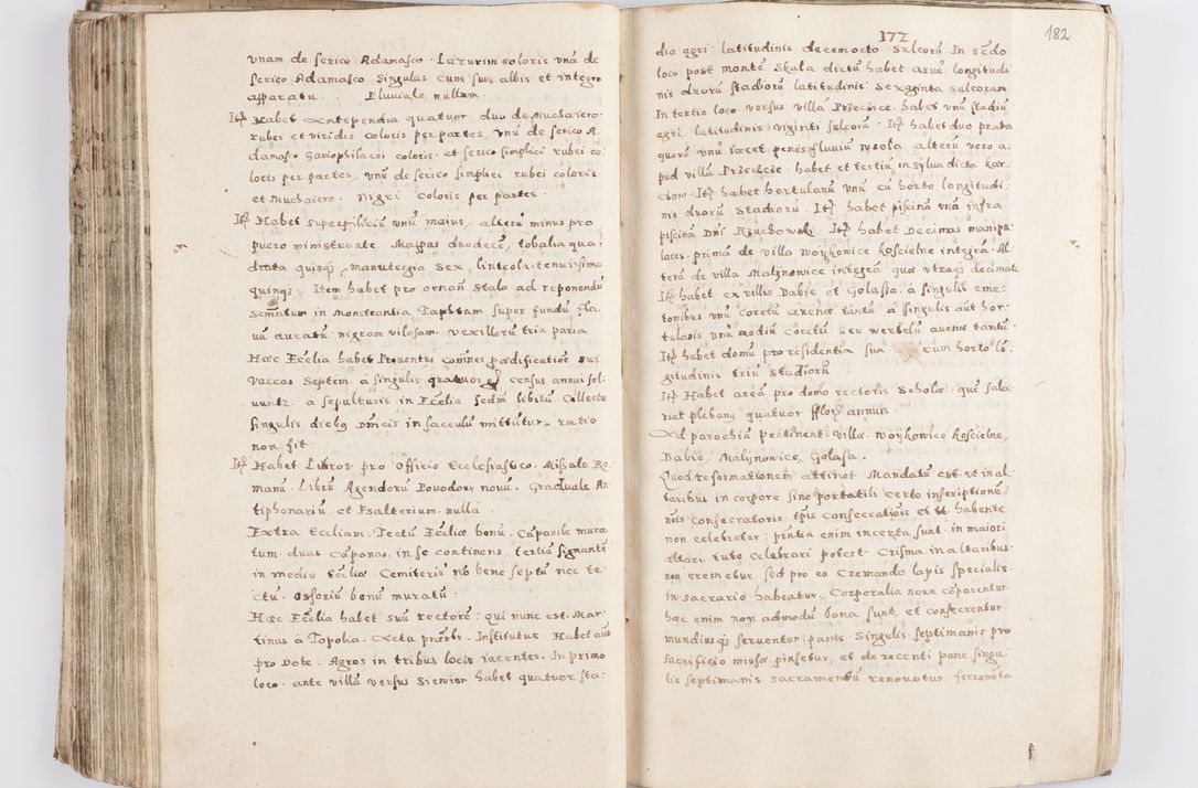 Zdjęcie nr 187 dla obiektu archiwalnego: Acta visitationis exterioris decanatuum Skalnensis, Wolbromensis, Leloviensis, Bytomiensis et Plesnensis ad Archid. Crac. pertinentium per R. D. Christoph. Kazimirski, Ep. Kijov Praep. Tarnov. a. D. 1598 factae.