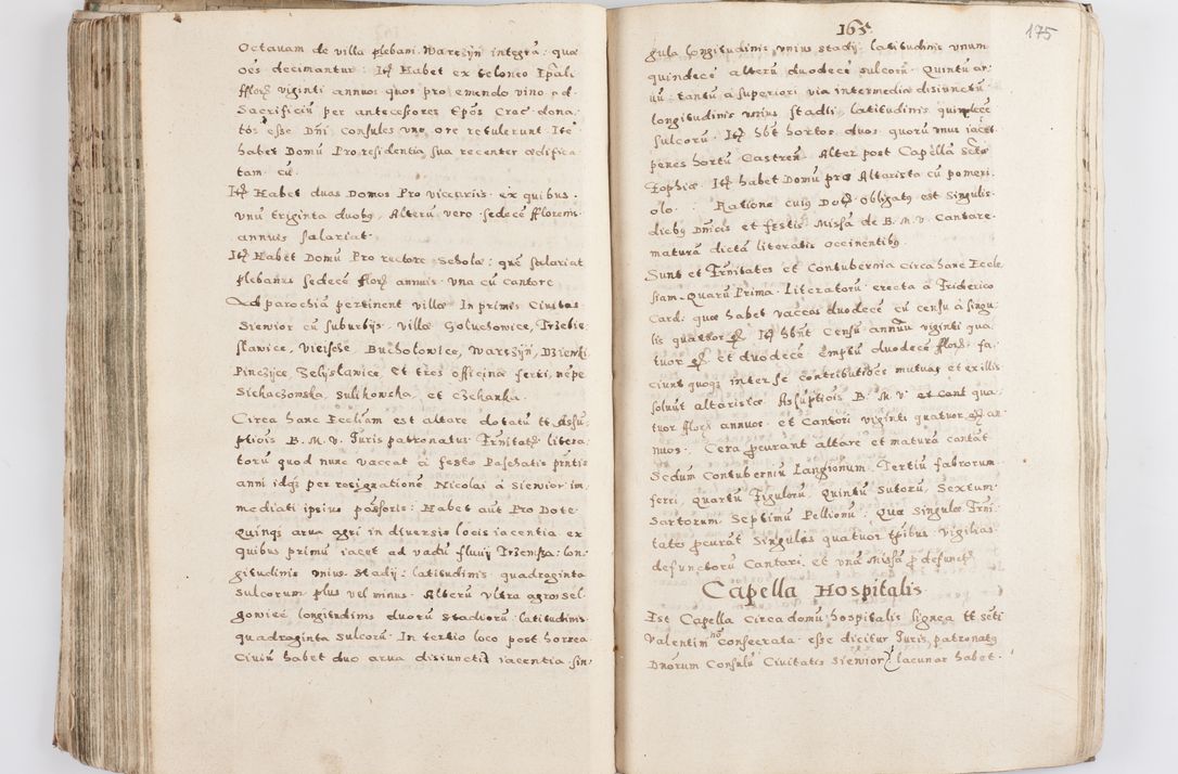 Zdjęcie nr 180 dla obiektu archiwalnego: Acta visitationis exterioris decanatuum Skalnensis, Wolbromensis, Leloviensis, Bytomiensis et Plesnensis ad Archid. Crac. pertinentium per R. D. Christoph. Kazimirski, Ep. Kijov Praep. Tarnov. a. D. 1598 factae.