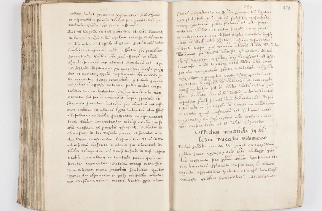 Zdjęcie nr 174 dla obiektu archiwalnego: Acta visitationis exterioris decanatuum Skalnensis, Wolbromensis, Leloviensis, Bytomiensis et Plesnensis ad Archid. Crac. pertinentium per R. D. Christoph. Kazimirski, Ep. Kijov Praep. Tarnov. a. D. 1598 factae.