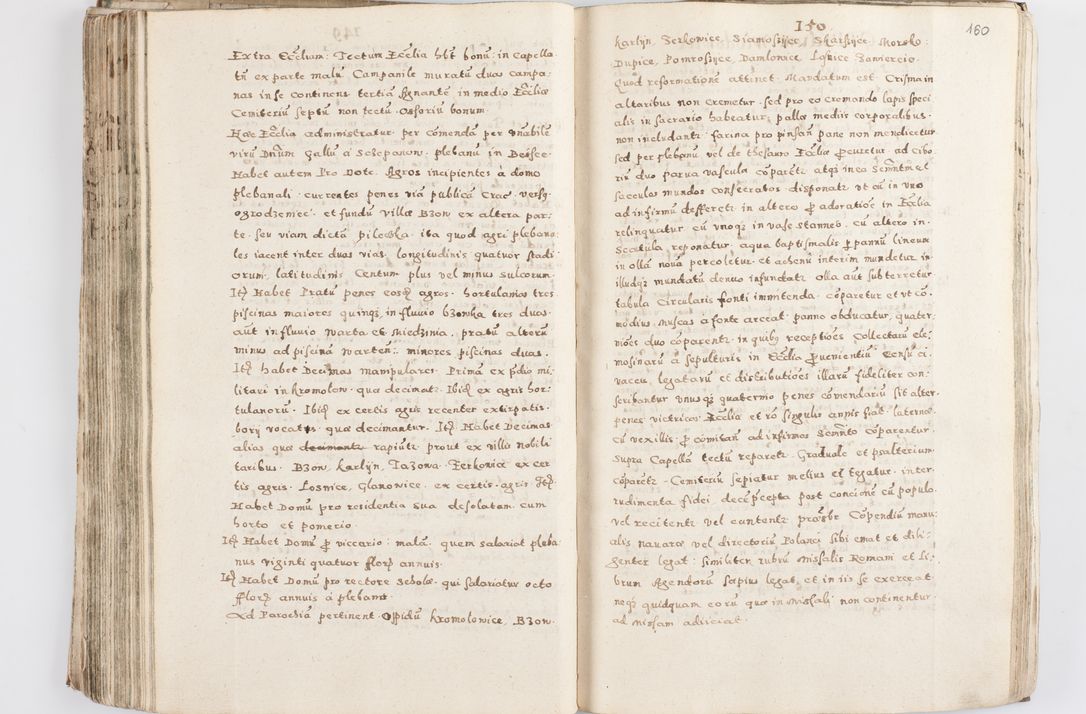 Zdjęcie nr 165 dla obiektu archiwalnego: Acta visitationis exterioris decanatuum Skalnensis, Wolbromensis, Leloviensis, Bytomiensis et Plesnensis ad Archid. Crac. pertinentium per R. D. Christoph. Kazimirski, Ep. Kijov Praep. Tarnov. a. D. 1598 factae.