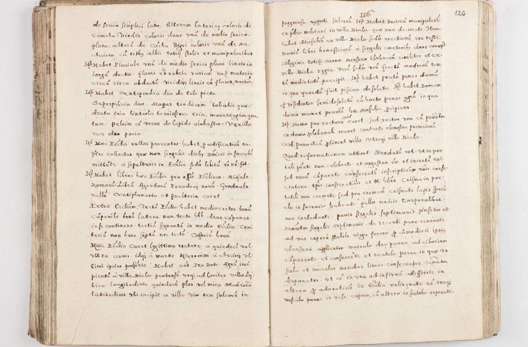 Zdjęcie nr 131 dla obiektu archiwalnego: Acta visitationis exterioris decanatuum Skalnensis, Wolbromensis, Leloviensis, Bytomiensis et Plesnensis ad Archid. Crac. pertinentium per R. D. Christoph. Kazimirski, Ep. Kijov Praep. Tarnov. a. D. 1598 factae.