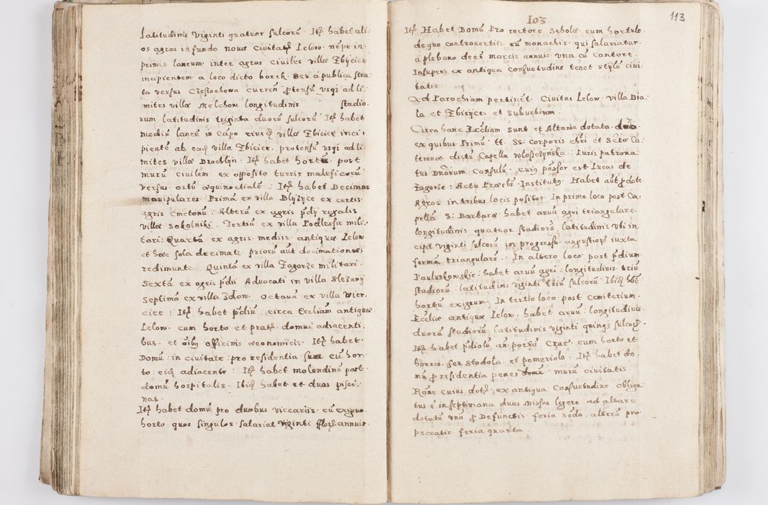 Zdjęcie nr 118 dla obiektu archiwalnego: Acta visitationis exterioris decanatuum Skalnensis, Wolbromensis, Leloviensis, Bytomiensis et Plesnensis ad Archid. Crac. pertinentium per R. D. Christoph. Kazimirski, Ep. Kijov Praep. Tarnov. a. D. 1598 factae.