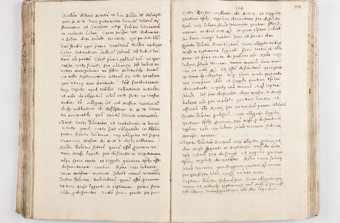 Zdjęcie nr 119 dla obiektu archiwalnego: Acta visitationis exterioris decanatuum Skalnensis, Wolbromensis, Leloviensis, Bytomiensis et Plesnensis ad Archid. Crac. pertinentium per R. D. Christoph. Kazimirski, Ep. Kijov Praep. Tarnov. a. D. 1598 factae.
