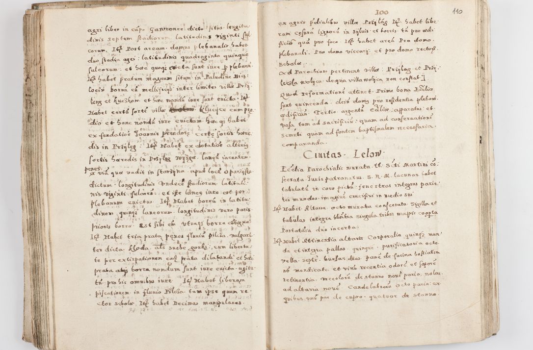 Zdjęcie nr 115 dla obiektu archiwalnego: Acta visitationis exterioris decanatuum Skalnensis, Wolbromensis, Leloviensis, Bytomiensis et Plesnensis ad Archid. Crac. pertinentium per R. D. Christoph. Kazimirski, Ep. Kijov Praep. Tarnov. a. D. 1598 factae.