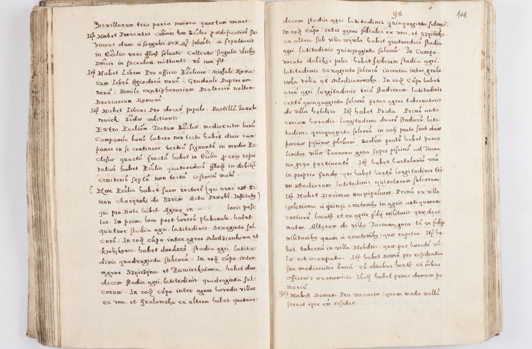 Zdjęcie nr 113 dla obiektu archiwalnego: Acta visitationis exterioris decanatuum Skalnensis, Wolbromensis, Leloviensis, Bytomiensis et Plesnensis ad Archid. Crac. pertinentium per R. D. Christoph. Kazimirski, Ep. Kijov Praep. Tarnov. a. D. 1598 factae.