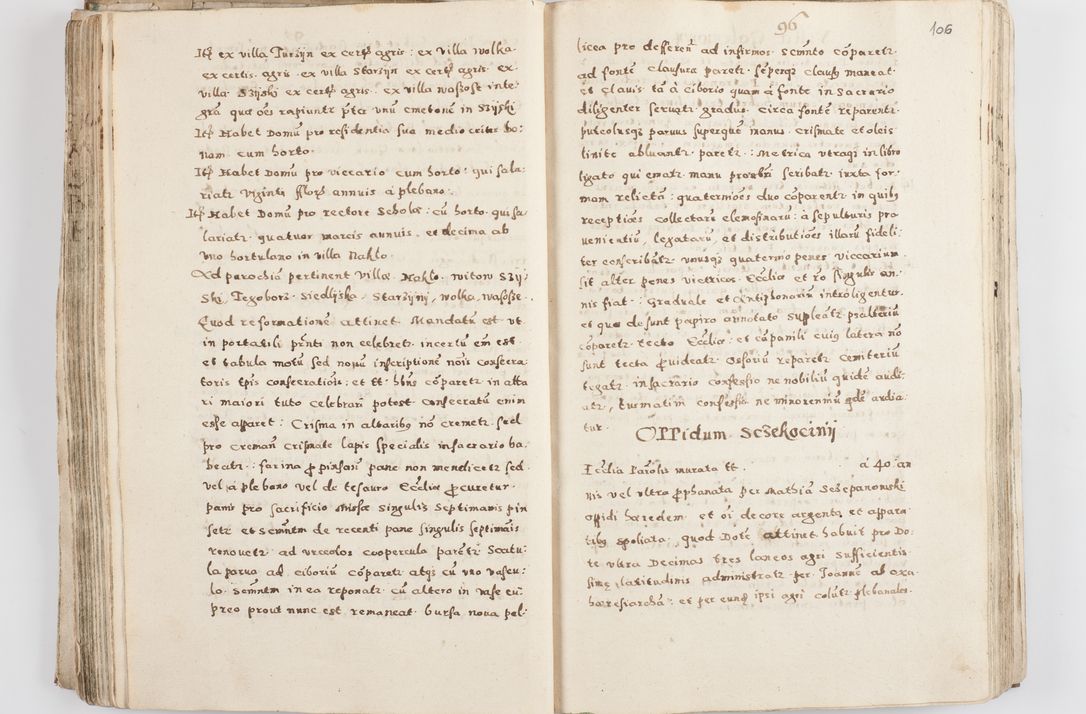 Zdjęcie nr 111 dla obiektu archiwalnego: Acta visitationis exterioris decanatuum Skalnensis, Wolbromensis, Leloviensis, Bytomiensis et Plesnensis ad Archid. Crac. pertinentium per R. D. Christoph. Kazimirski, Ep. Kijov Praep. Tarnov. a. D. 1598 factae.