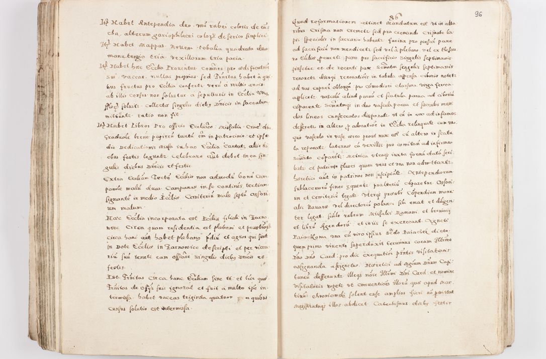 Zdjęcie nr 100 dla obiektu archiwalnego: Acta visitationis exterioris decanatuum Skalnensis, Wolbromensis, Leloviensis, Bytomiensis et Plesnensis ad Archid. Crac. pertinentium per R. D. Christoph. Kazimirski, Ep. Kijov Praep. Tarnov. a. D. 1598 factae.