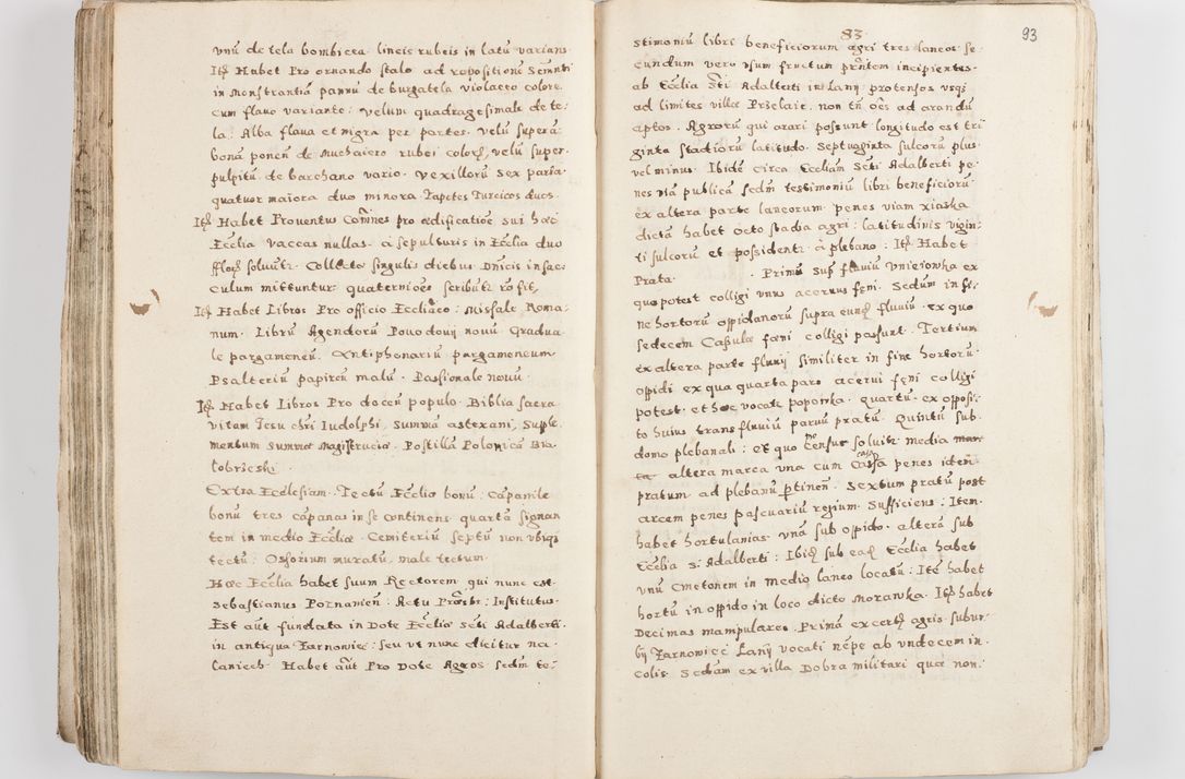 Zdjęcie nr 97 dla obiektu archiwalnego: Acta visitationis exterioris decanatuum Skalnensis, Wolbromensis, Leloviensis, Bytomiensis et Plesnensis ad Archid. Crac. pertinentium per R. D. Christoph. Kazimirski, Ep. Kijov Praep. Tarnov. a. D. 1598 factae.