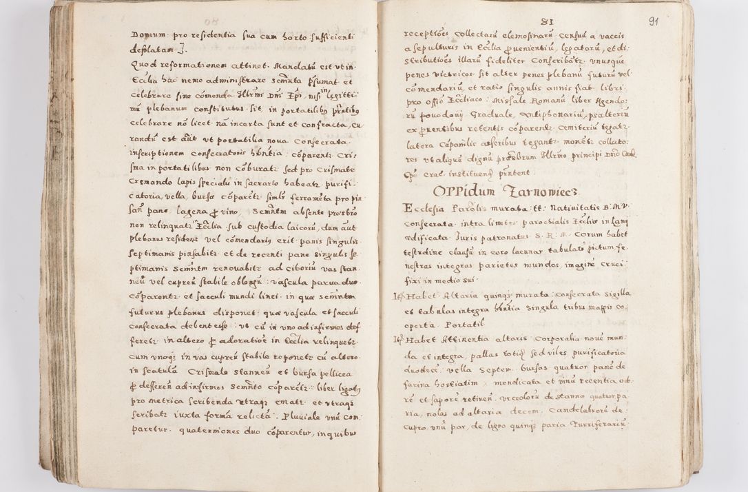 Zdjęcie nr 95 dla obiektu archiwalnego: Acta visitationis exterioris decanatuum Skalnensis, Wolbromensis, Leloviensis, Bytomiensis et Plesnensis ad Archid. Crac. pertinentium per R. D. Christoph. Kazimirski, Ep. Kijov Praep. Tarnov. a. D. 1598 factae.