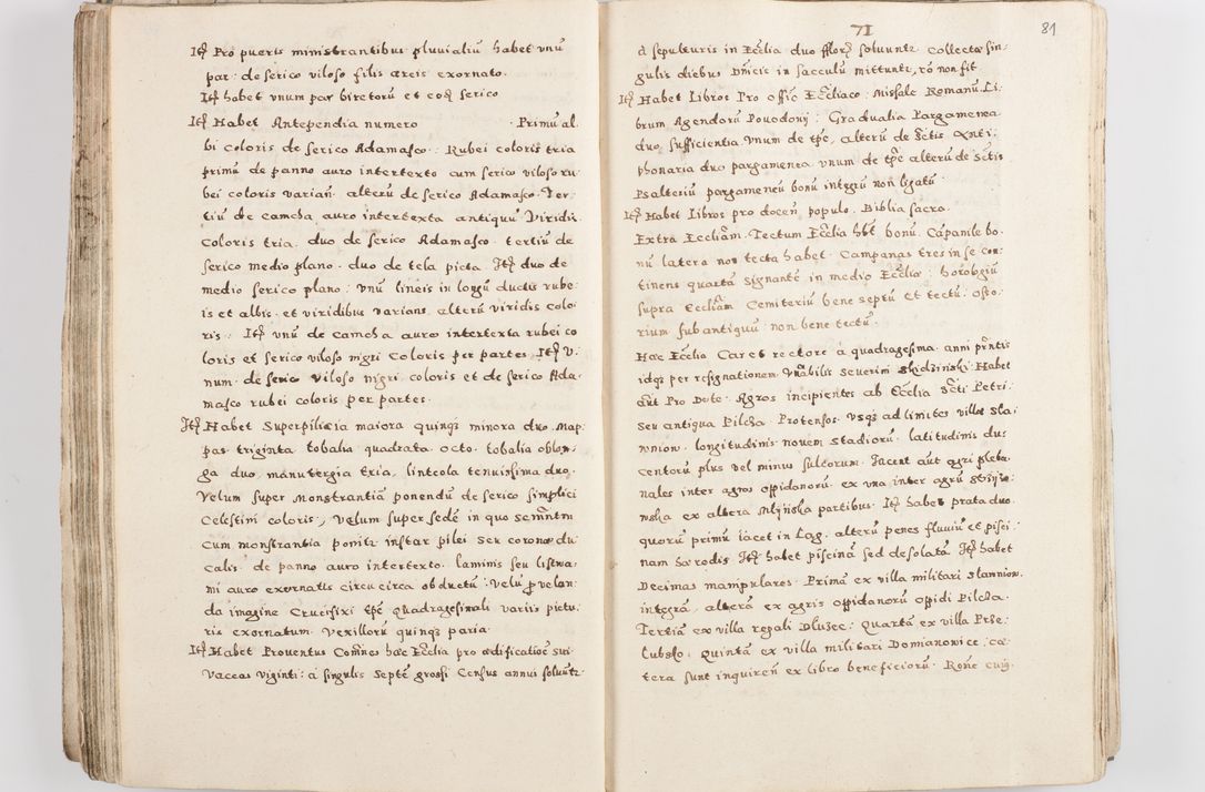 Zdjęcie nr 85 dla obiektu archiwalnego: Acta visitationis exterioris decanatuum Skalnensis, Wolbromensis, Leloviensis, Bytomiensis et Plesnensis ad Archid. Crac. pertinentium per R. D. Christoph. Kazimirski, Ep. Kijov Praep. Tarnov. a. D. 1598 factae.
