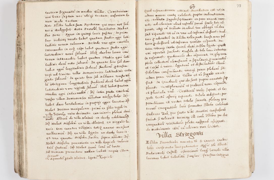 Zdjęcie nr 81 dla obiektu archiwalnego: Acta visitationis exterioris decanatuum Skalnensis, Wolbromensis, Leloviensis, Bytomiensis et Plesnensis ad Archid. Crac. pertinentium per R. D. Christoph. Kazimirski, Ep. Kijov Praep. Tarnov. a. D. 1598 factae.