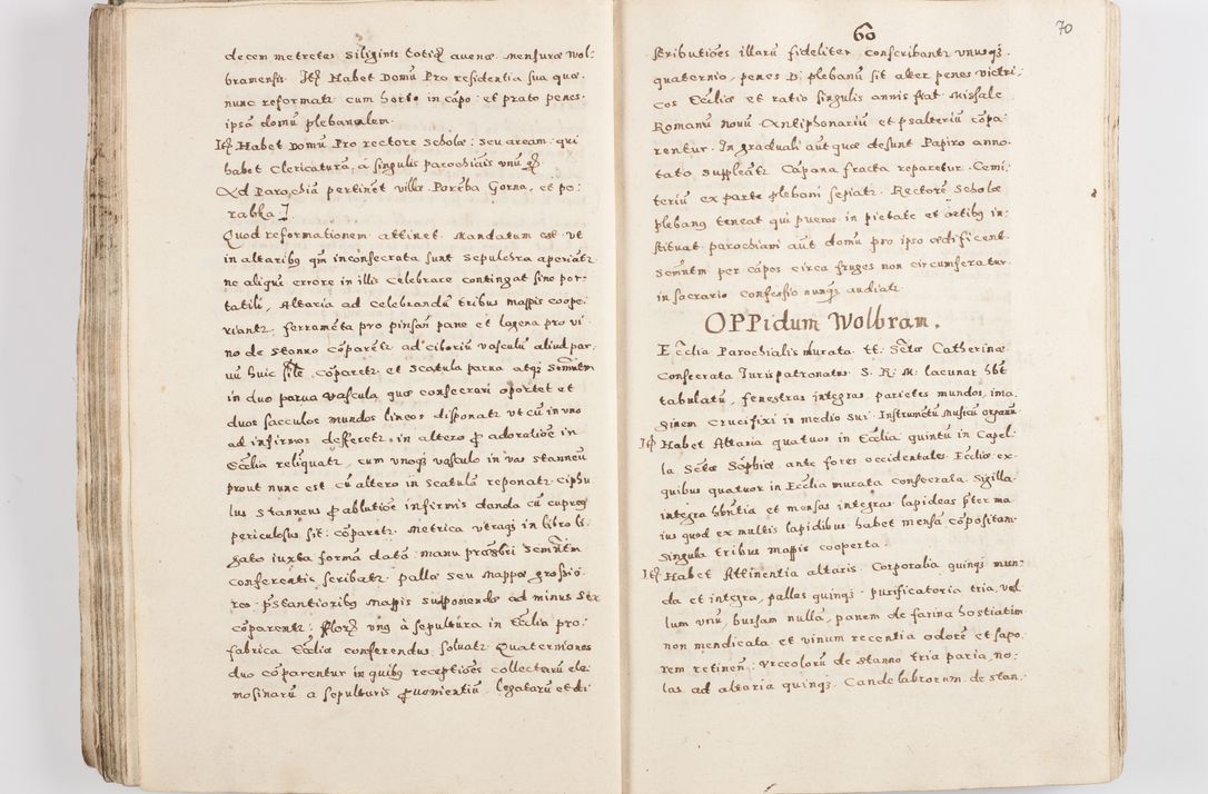 Zdjęcie nr 73 dla obiektu archiwalnego: Acta visitationis exterioris decanatuum Skalnensis, Wolbromensis, Leloviensis, Bytomiensis et Plesnensis ad Archid. Crac. pertinentium per R. D. Christoph. Kazimirski, Ep. Kijov Praep. Tarnov. a. D. 1598 factae.