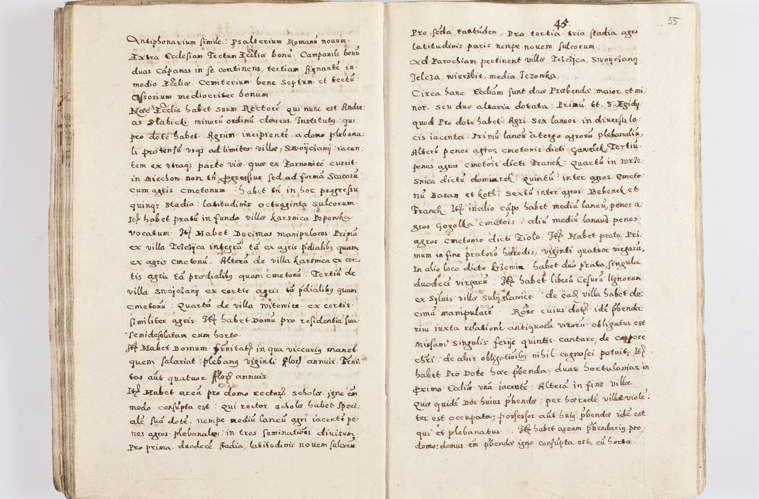 Zdjęcie nr 58 dla obiektu archiwalnego: Acta visitationis exterioris decanatuum Skalnensis, Wolbromensis, Leloviensis, Bytomiensis et Plesnensis ad Archid. Crac. pertinentium per R. D. Christoph. Kazimirski, Ep. Kijov Praep. Tarnov. a. D. 1598 factae.