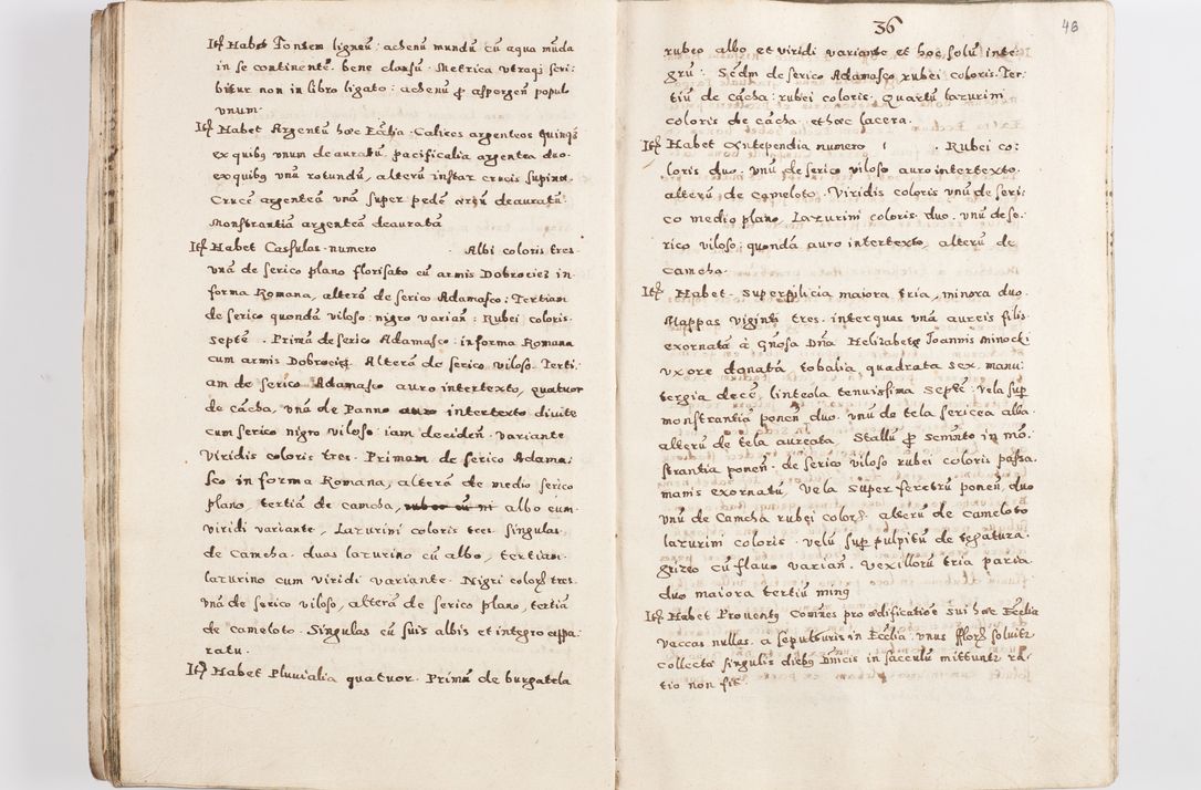 Zdjęcie nr 49 dla obiektu archiwalnego: Acta visitationis exterioris decanatuum Skalnensis, Wolbromensis, Leloviensis, Bytomiensis et Plesnensis ad Archid. Crac. pertinentium per R. D. Christoph. Kazimirski, Ep. Kijov Praep. Tarnov. a. D. 1598 factae.