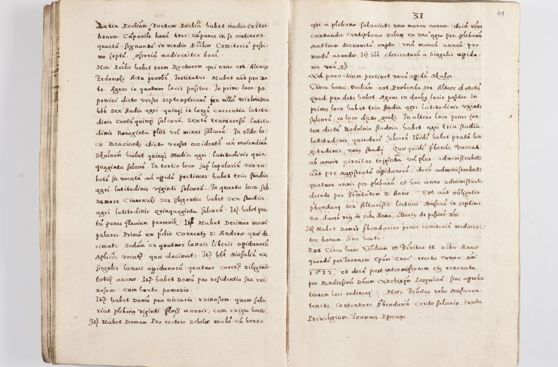 Zdjęcie nr 44 dla obiektu archiwalnego: Acta visitationis exterioris decanatuum Skalnensis, Wolbromensis, Leloviensis, Bytomiensis et Plesnensis ad Archid. Crac. pertinentium per R. D. Christoph. Kazimirski, Ep. Kijov Praep. Tarnov. a. D. 1598 factae.