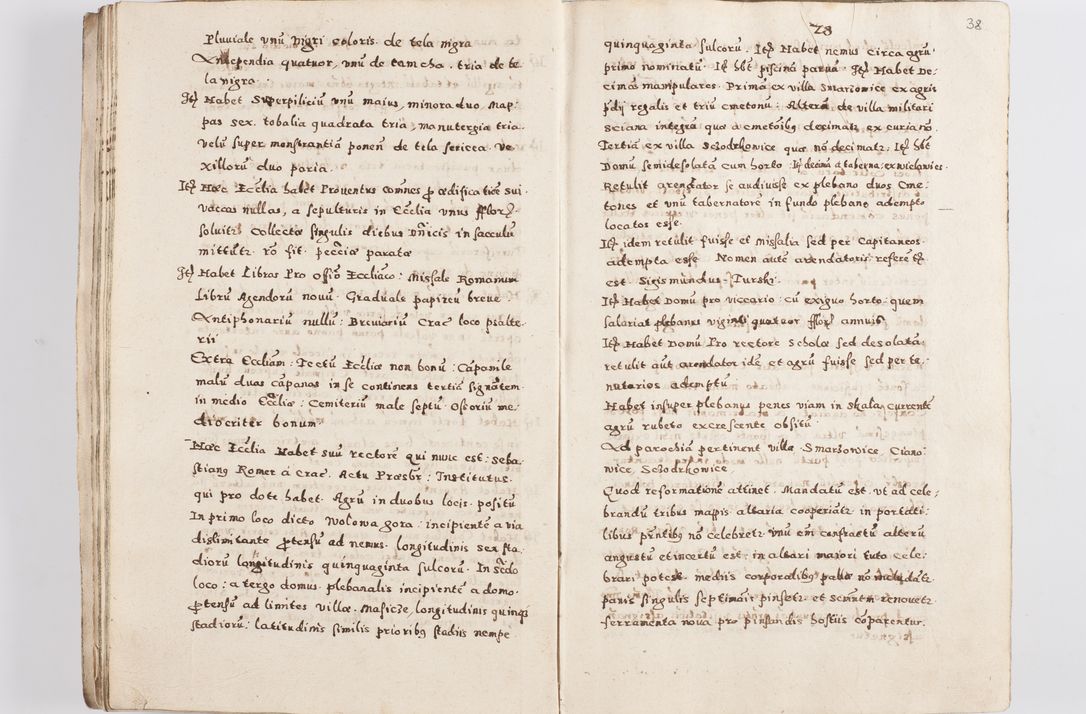 Zdjęcie nr 41 dla obiektu archiwalnego: Acta visitationis exterioris decanatuum Skalnensis, Wolbromensis, Leloviensis, Bytomiensis et Plesnensis ad Archid. Crac. pertinentium per R. D. Christoph. Kazimirski, Ep. Kijov Praep. Tarnov. a. D. 1598 factae.