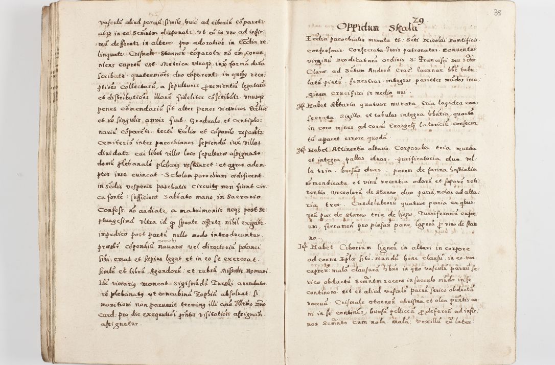 Zdjęcie nr 42 dla obiektu archiwalnego: Acta visitationis exterioris decanatuum Skalnensis, Wolbromensis, Leloviensis, Bytomiensis et Plesnensis ad Archid. Crac. pertinentium per R. D. Christoph. Kazimirski, Ep. Kijov Praep. Tarnov. a. D. 1598 factae.