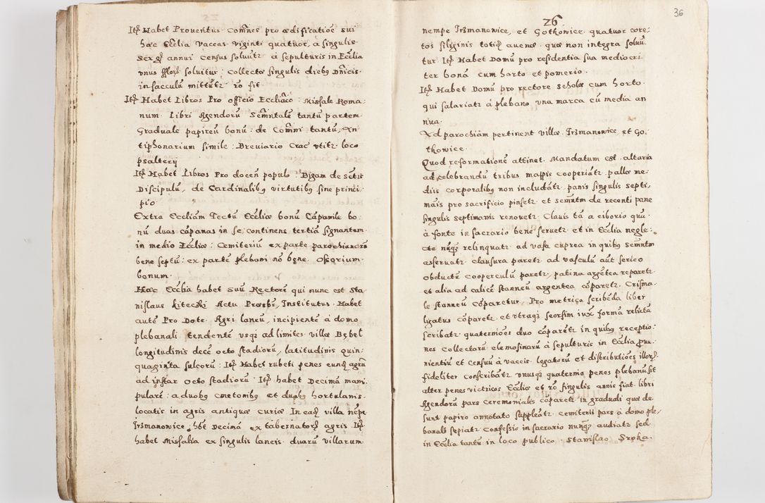 Zdjęcie nr 39 dla obiektu archiwalnego: Acta visitationis exterioris decanatuum Skalnensis, Wolbromensis, Leloviensis, Bytomiensis et Plesnensis ad Archid. Crac. pertinentium per R. D. Christoph. Kazimirski, Ep. Kijov Praep. Tarnov. a. D. 1598 factae.