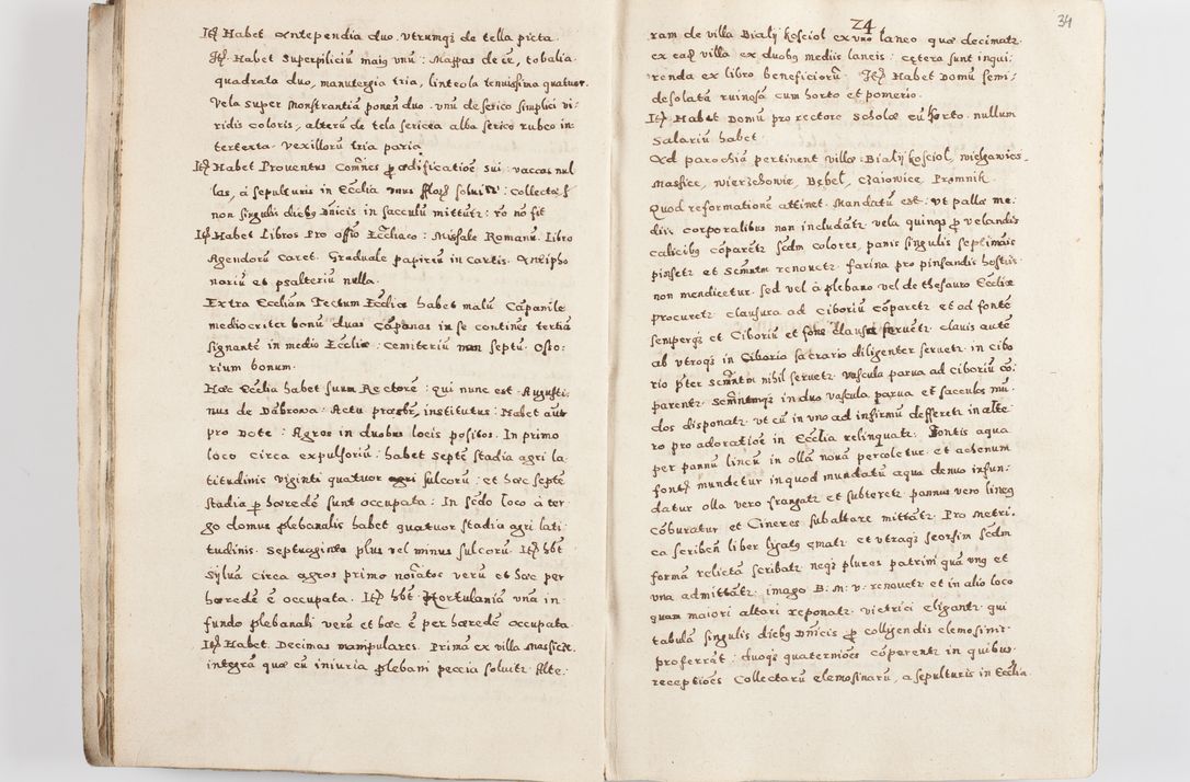 Zdjęcie nr 37 dla obiektu archiwalnego: Acta visitationis exterioris decanatuum Skalnensis, Wolbromensis, Leloviensis, Bytomiensis et Plesnensis ad Archid. Crac. pertinentium per R. D. Christoph. Kazimirski, Ep. Kijov Praep. Tarnov. a. D. 1598 factae.