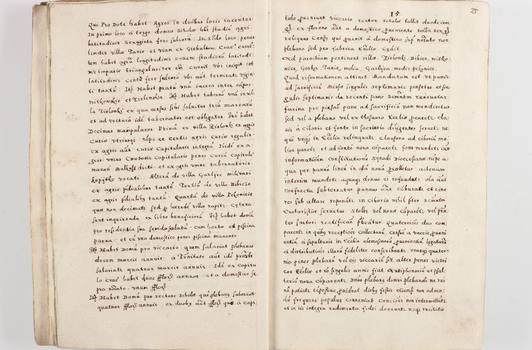 Zdjęcie nr 28 dla obiektu archiwalnego: Acta visitationis exterioris decanatuum Skalnensis, Wolbromensis, Leloviensis, Bytomiensis et Plesnensis ad Archid. Crac. pertinentium per R. D. Christoph. Kazimirski, Ep. Kijov Praep. Tarnov. a. D. 1598 factae.