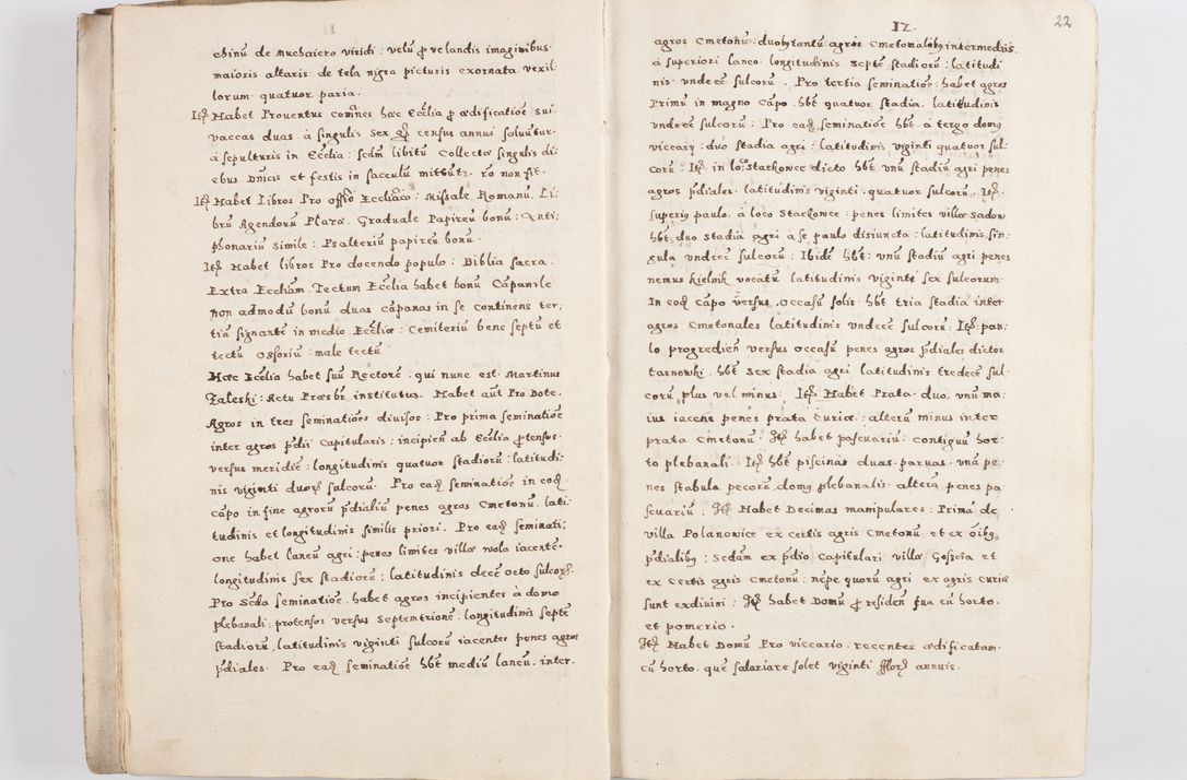 Zdjęcie nr 25 dla obiektu archiwalnego: Acta visitationis exterioris decanatuum Skalnensis, Wolbromensis, Leloviensis, Bytomiensis et Plesnensis ad Archid. Crac. pertinentium per R. D. Christoph. Kazimirski, Ep. Kijov Praep. Tarnov. a. D. 1598 factae.
