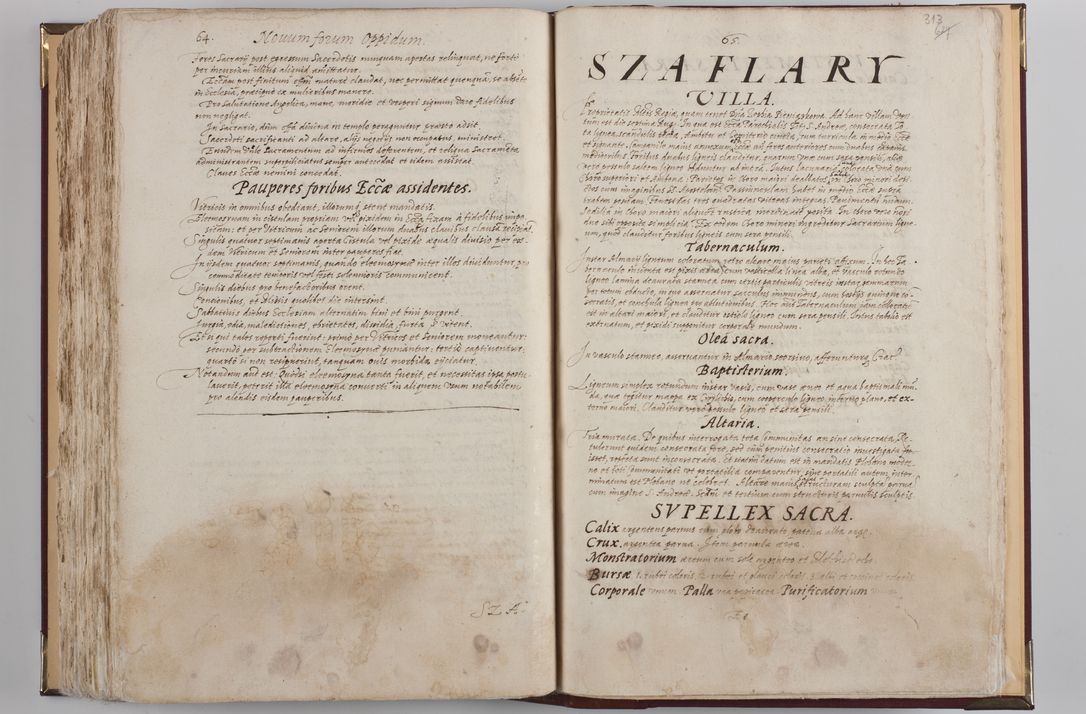 Zdjęcie nr 347 dla obiektu archiwalnego: Visitatio externa diversarum dioecesis Cracoviensis ecclesiarum sub R. D. Petro Tylicki, episcopo Cracoviensi facta a. D. 1607