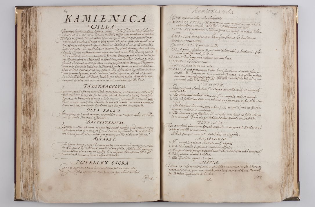 Zdjęcie nr 227 dla obiektu archiwalnego: Visitatio externa diversarum dioecesis Cracoviensis ecclesiarum sub R. D. Petro Tylicki, episcopo Cracoviensi facta a. D. 1607