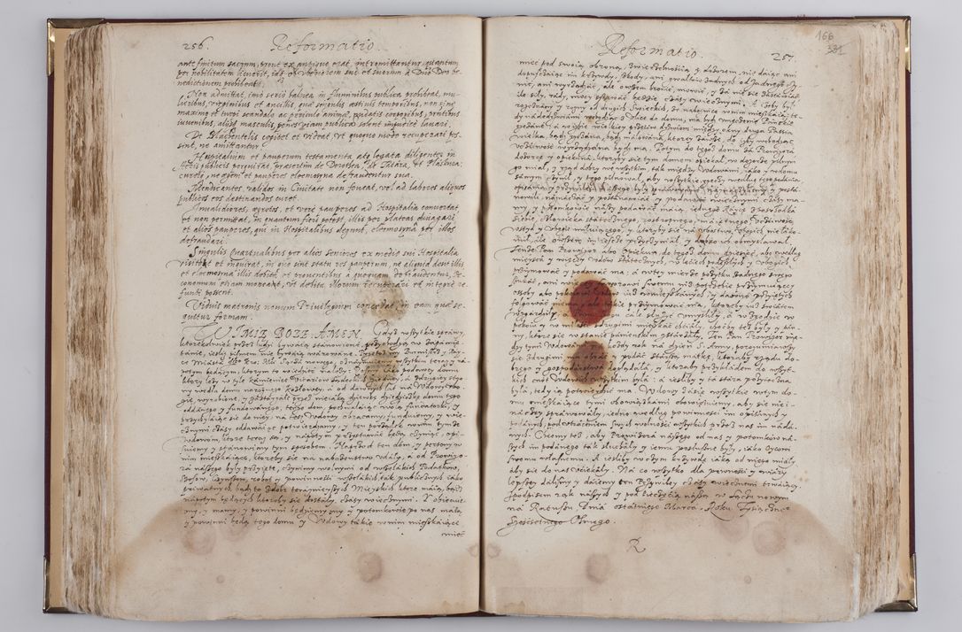 Zdjęcie nr 187 dla obiektu archiwalnego: Visitatio externa diversarum dioecesis Cracoviensis ecclesiarum sub R. D. Petro Tylicki, episcopo Cracoviensi facta a. D. 1607