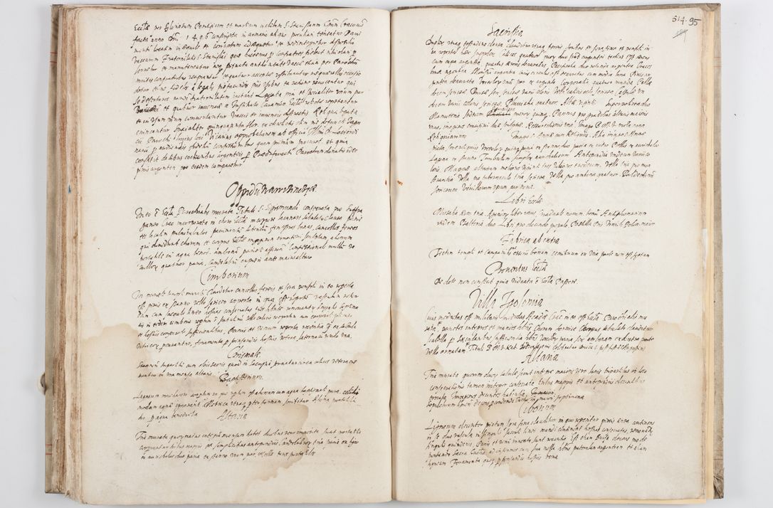 Zdjęcie nr 102 dla obiektu archiwalnego: Visitatio ecclesiarum parochialium in decanatibus Leloviensi, Kijensi, Łukoviensi, Proszoviensi, Parczoviensi et Wrocimoviensi in annis 1609 - 1614 peracta, nec non visitatio ecclesiae parochialis s. Jacobi in Casimiria per R. D. Hieronymum Reczajski, archidiaconum cathedralem Cracoviensem vigore specianuarii facta. Visitatio ecclesie parochialis in oppido Mussinensi per R. D. Andream Łukomski, Wladislaviensem et Sandomieriensem canonicum ex dommissione R. D. Petri Tylicki, episcopi Cracoviensi die 1 Julii peracta.