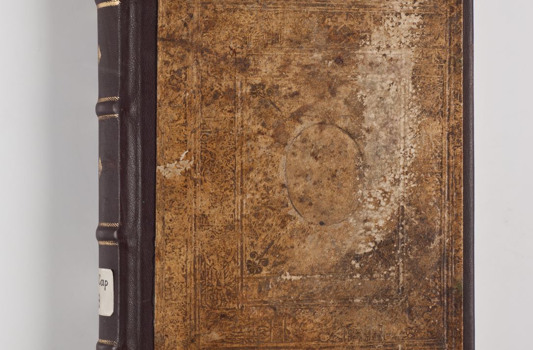 Zdjęcie nr 2 dla obiektu archiwalnego: Visitatio ecclesiarum parochialium in decanatibus: Booviensi, Sandecensi, Neoforiensi, Becensi, Jaslensi, Żmigrodensi, Pilznensi, Strzyżoviensi, Ropczycensi et Mielecensi a. D. 1618 facta