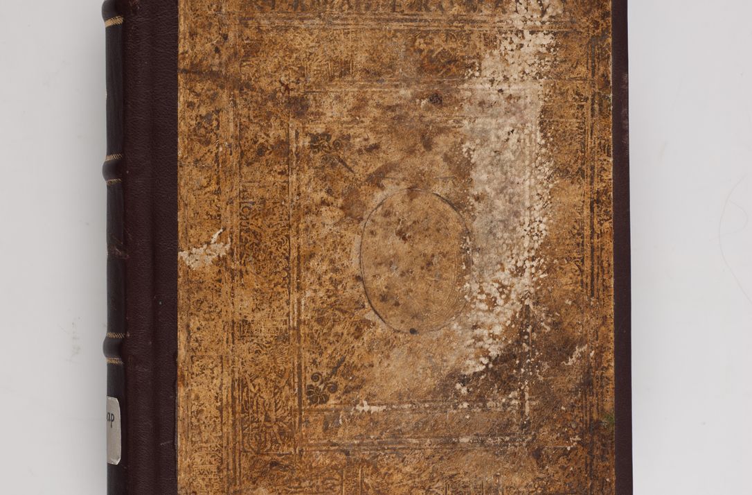 Zdjęcie nr 1 dla obiektu archiwalnego: Visitatio ecclesiarum parochialium in decanatibus: Booviensi, Sandecensi, Neoforiensi, Becensi, Jaslensi, Żmigrodensi, Pilznensi, Strzyżoviensi, Ropczycensi et Mielecensi a. D. 1618 facta