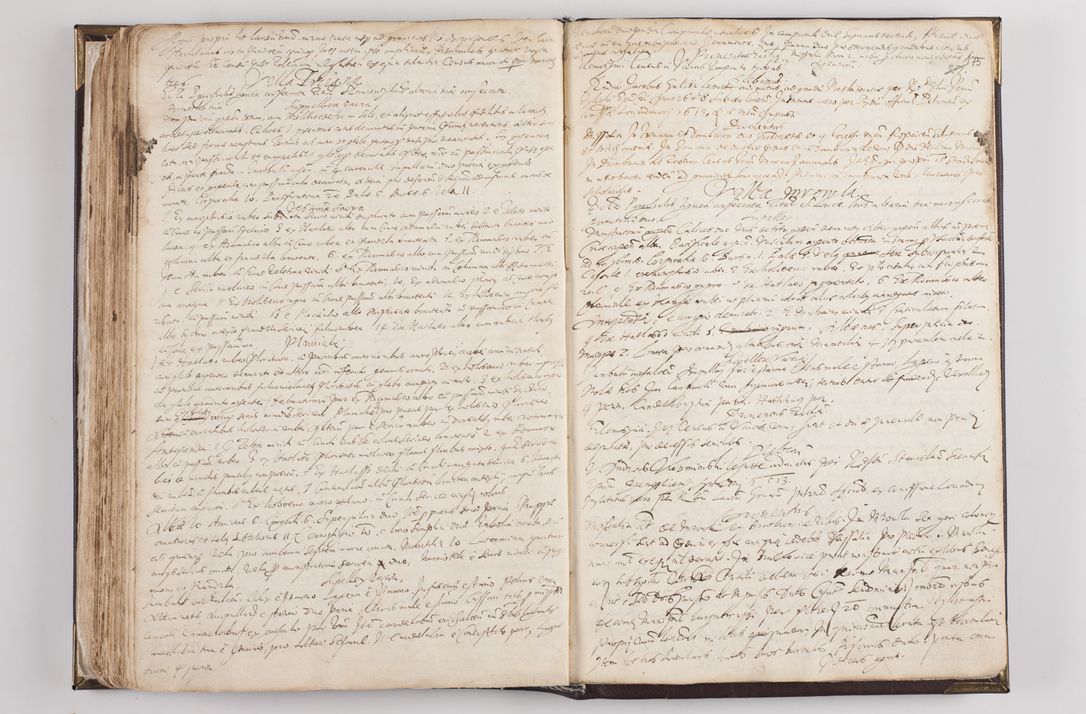 Zdjęcie nr 183 dla obiektu archiwalnego: Visitatio ecclesiarum parochialium in decanatibus: Booviensi, Sandecensi, Neoforiensi, Becensi, Jaslensi, Żmigrodensi, Pilznensi, Strzyżoviensi, Ropczycensi et Mielecensi a. D. 1618 facta