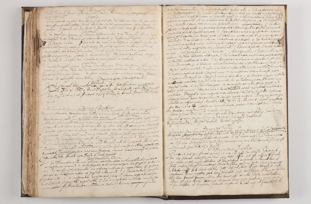 Zdjęcie nr 185 dla obiektu archiwalnego: Visitatio ecclesiarum parochialium in decanatibus: Booviensi, Sandecensi, Neoforiensi, Becensi, Jaslensi, Żmigrodensi, Pilznensi, Strzyżoviensi, Ropczycensi et Mielecensi a. D. 1618 facta