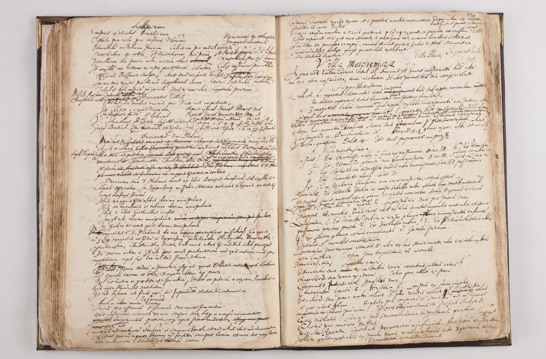 Zdjęcie nr 116 dla obiektu archiwalnego: Visitatio ecclesiarum parochialium in decanatibus: Booviensi, Sandecensi, Neoforiensi, Becensi, Jaslensi, Żmigrodensi, Pilznensi, Strzyżoviensi, Ropczycensi et Mielecensi a. D. 1618 facta