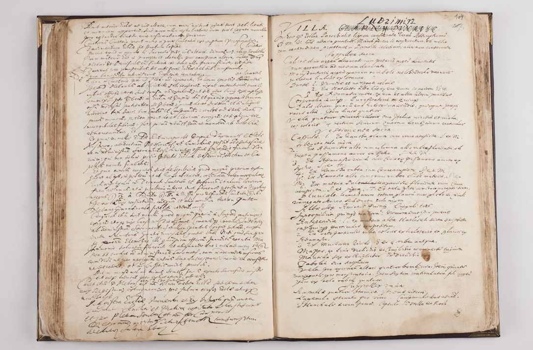 Zdjęcie nr 110 dla obiektu archiwalnego: Visitatio ecclesiarum parochialium in decanatibus: Booviensi, Sandecensi, Neoforiensi, Becensi, Jaslensi, Żmigrodensi, Pilznensi, Strzyżoviensi, Ropczycensi et Mielecensi a. D. 1618 facta