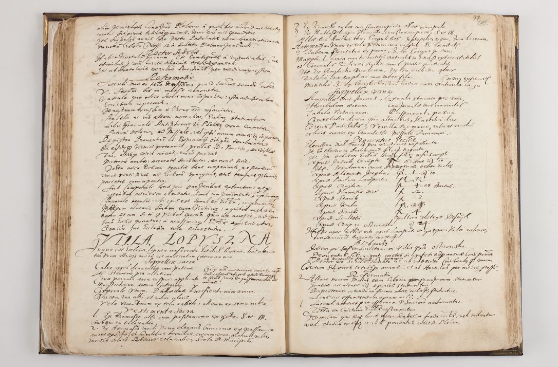 Zdjęcie nr 103 dla obiektu archiwalnego: Visitatio ecclesiarum parochialium in decanatibus: Booviensi, Sandecensi, Neoforiensi, Becensi, Jaslensi, Żmigrodensi, Pilznensi, Strzyżoviensi, Ropczycensi et Mielecensi a. D. 1618 facta