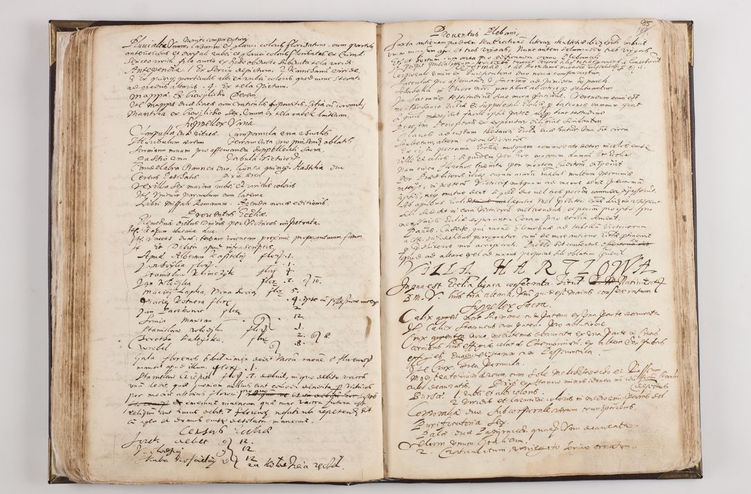 Zdjęcie nr 101 dla obiektu archiwalnego: Visitatio ecclesiarum parochialium in decanatibus: Booviensi, Sandecensi, Neoforiensi, Becensi, Jaslensi, Żmigrodensi, Pilznensi, Strzyżoviensi, Ropczycensi et Mielecensi a. D. 1618 facta