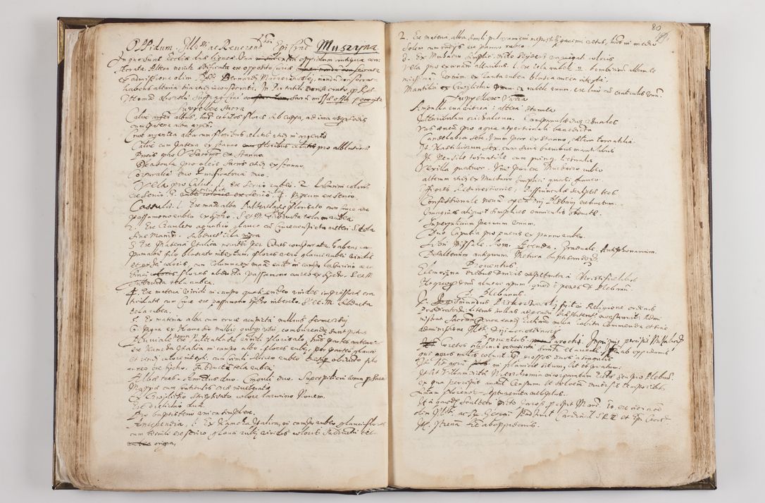 Zdjęcie nr 86 dla obiektu archiwalnego: Visitatio ecclesiarum parochialium in decanatibus: Booviensi, Sandecensi, Neoforiensi, Becensi, Jaslensi, Żmigrodensi, Pilznensi, Strzyżoviensi, Ropczycensi et Mielecensi a. D. 1618 facta