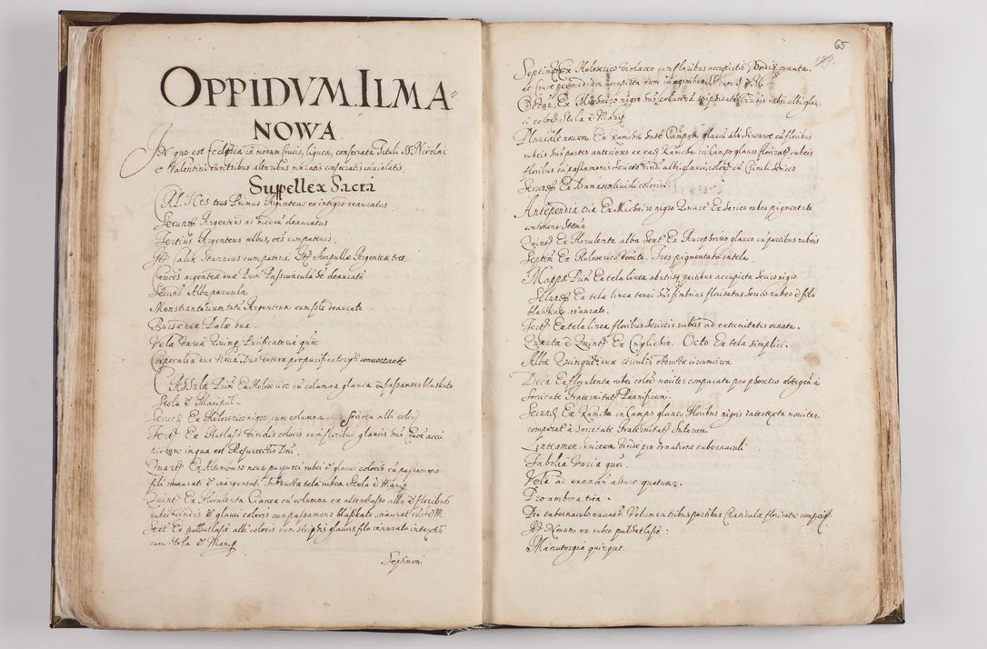 Zdjęcie nr 71 dla obiektu archiwalnego: Visitatio ecclesiarum parochialium in decanatibus: Booviensi, Sandecensi, Neoforiensi, Becensi, Jaslensi, Żmigrodensi, Pilznensi, Strzyżoviensi, Ropczycensi et Mielecensi a. D. 1618 facta