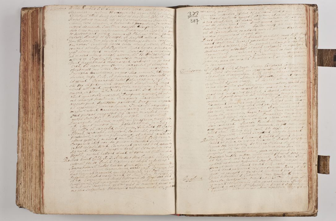 Zdjęcie nr 408 dla obiektu archiwalnego: Acta visitationum Illustrissimi et Reverendissimi Domini D. Jacobi Zadzik Episcopi Cracoviensi, Ducis Severae