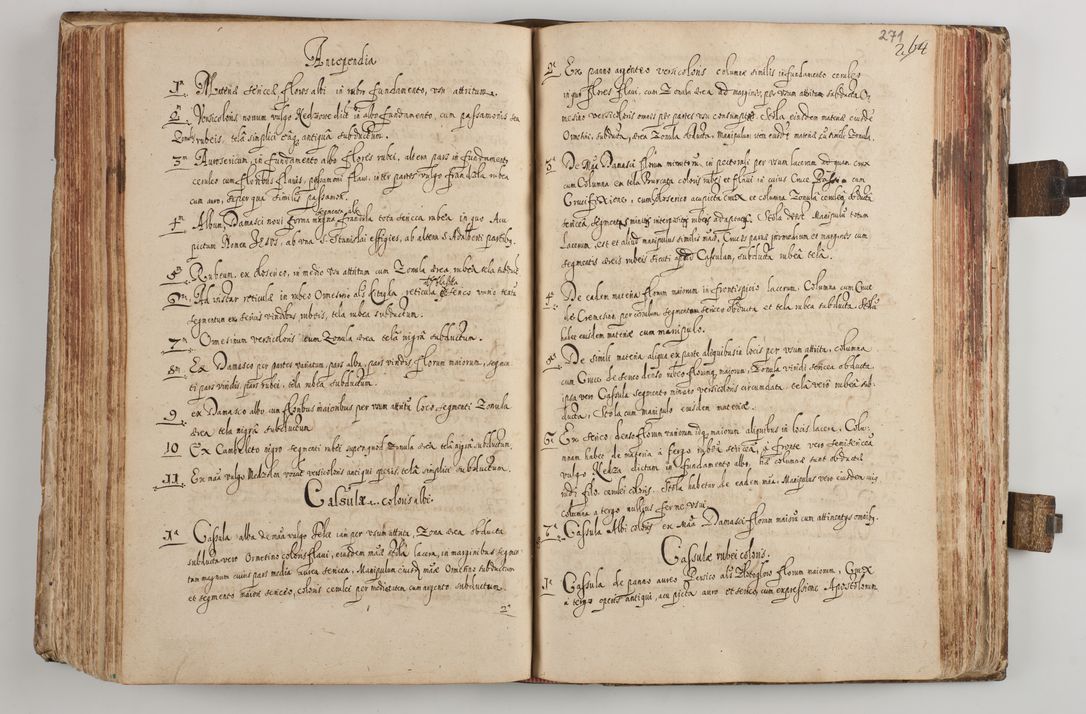 Zdjęcie nr 288 dla obiektu archiwalnego: Acta visitationum Illustrissimi et Reverendissimi Domini D. Jacobi Zadzik Episcopi Cracoviensi, Ducis Severae
