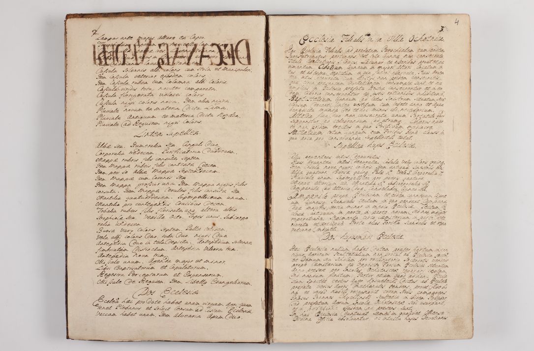 Zdjęcie nr 8 dla obiektu archiwalnego: Visitatio interna et externa officialatus Sandecensis per me Josephum de Zakliczyn Jordan, canonicum cathedralem Cracoviensem, archidiaconum Sandecensem anno 1723 die 12 mensis Decembris incepta, ac tandem anno 1728 die vero 12 mensis Aprilis terminata. Continet decanatus Neoforiensem, Sandecensem, Scepusiensem, Sandecensem (continuatio) Boboviensem. Per Nicolaum Gawrański, notarium apostolicum connotata.