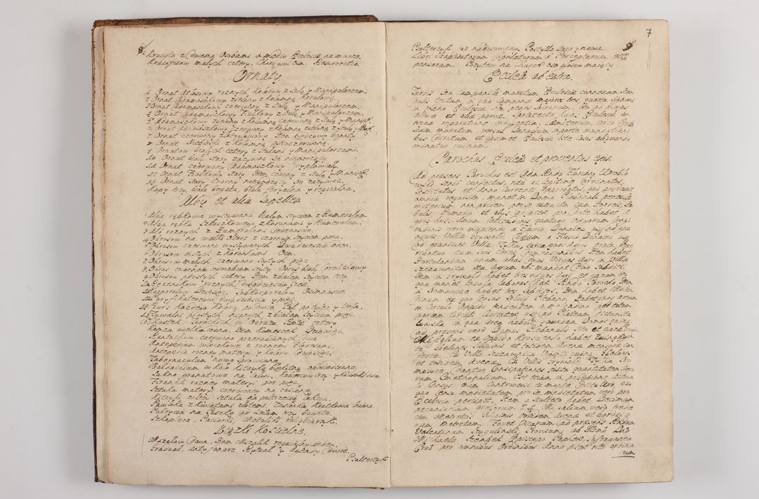 Zdjęcie nr 11 dla obiektu archiwalnego: Visitatio interna et externa officialatus Sandecensis per me Josephum de Zakliczyn Jordan, canonicum cathedralem Cracoviensem, archidiaconum Sandecensem anno 1723 die 12 mensis Decembris incepta, ac tandem anno 1728 die vero 12 mensis Aprilis terminata. Continet decanatus Neoforiensem, Sandecensem, Scepusiensem, Sandecensem (continuatio) Boboviensem. Per Nicolaum Gawrański, notarium apostolicum connotata.