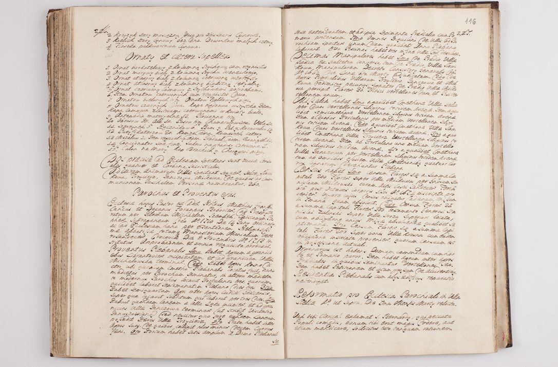 Zdjęcie nr 121 dla obiektu archiwalnego: Visitatio interna et externa officialatus Sandecensis per me Josephum de Zakliczyn Jordan, canonicum cathedralem Cracoviensem, archidiaconum Sandecensem anno 1723 die 12 mensis Decembris incepta, ac tandem anno 1728 die vero 12 mensis Aprilis terminata. Continet decanatus Neoforiensem, Sandecensem, Scepusiensem, Sandecensem (continuatio) Boboviensem. Per Nicolaum Gawrański, notarium apostolicum connotata.