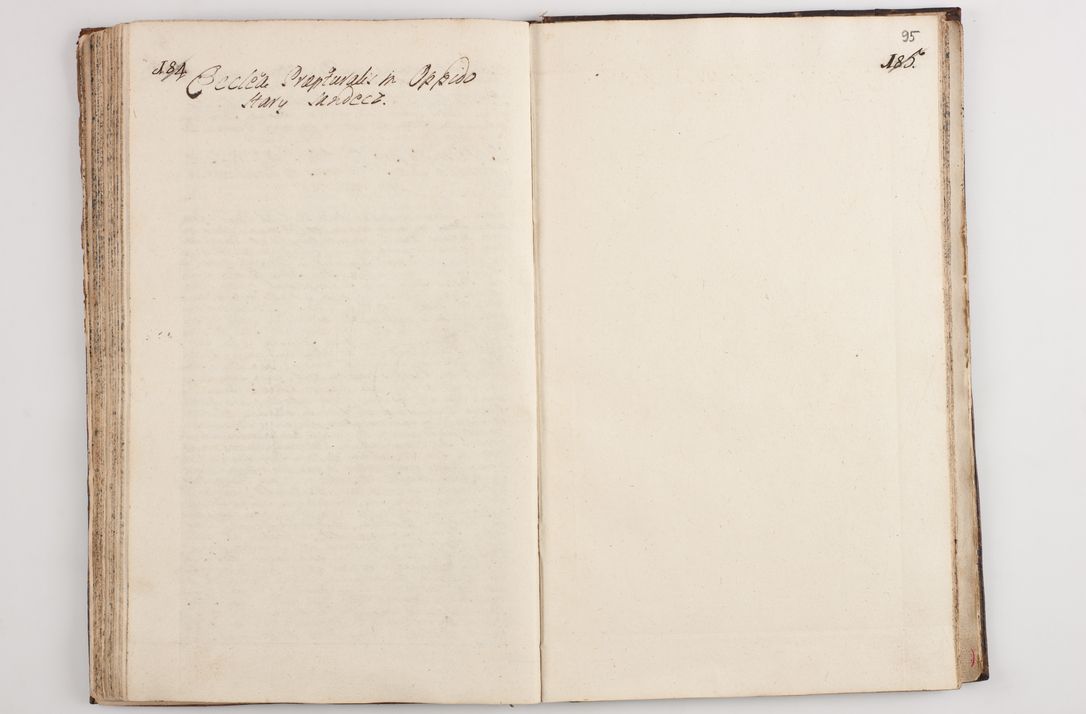 Zdjęcie nr 100 dla obiektu archiwalnego: Visitatio interna et externa officialatus Sandecensis per me Josephum de Zakliczyn Jordan, canonicum cathedralem Cracoviensem, archidiaconum Sandecensem anno 1723 die 12 mensis Decembris incepta, ac tandem anno 1728 die vero 12 mensis Aprilis terminata. Continet decanatus Neoforiensem, Sandecensem, Scepusiensem, Sandecensem (continuatio) Boboviensem. Per Nicolaum Gawrański, notarium apostolicum connotata.