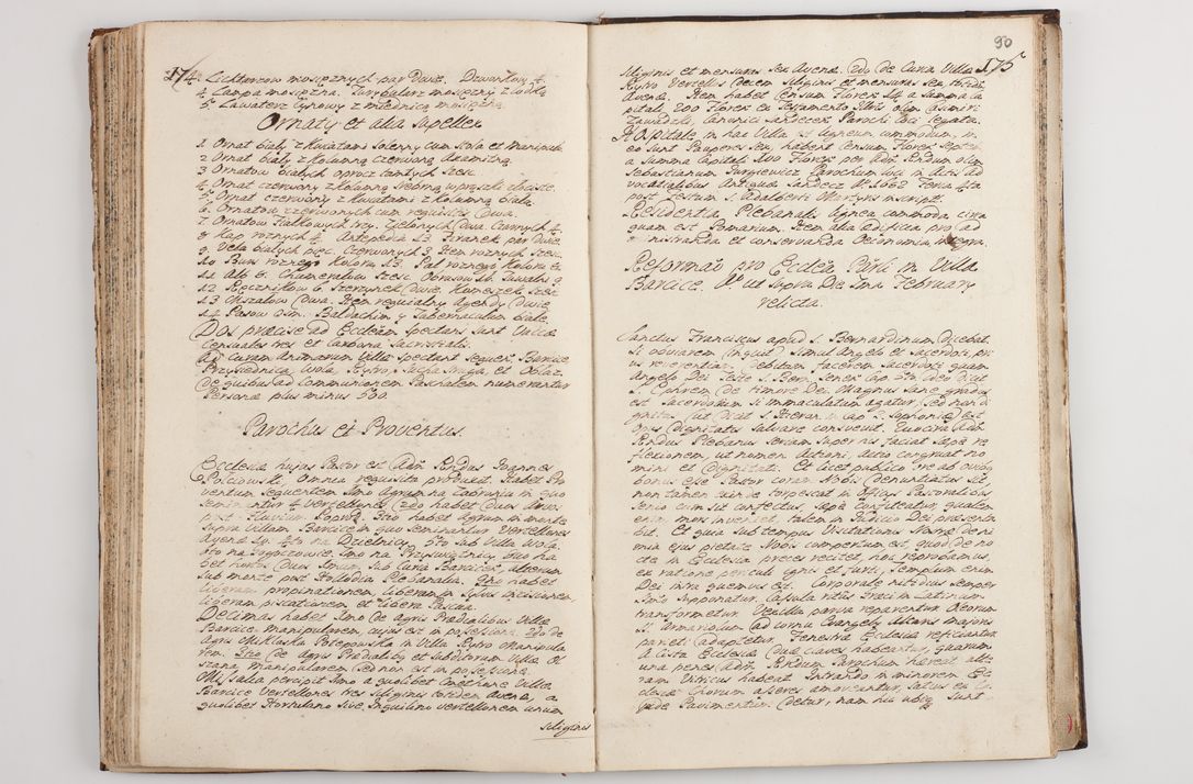 Zdjęcie nr 95 dla obiektu archiwalnego: Visitatio interna et externa officialatus Sandecensis per me Josephum de Zakliczyn Jordan, canonicum cathedralem Cracoviensem, archidiaconum Sandecensem anno 1723 die 12 mensis Decembris incepta, ac tandem anno 1728 die vero 12 mensis Aprilis terminata. Continet decanatus Neoforiensem, Sandecensem, Scepusiensem, Sandecensem (continuatio) Boboviensem. Per Nicolaum Gawrański, notarium apostolicum connotata.