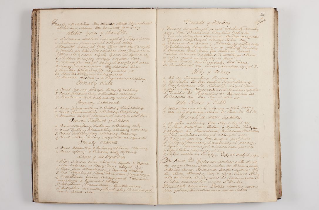 Zdjęcie nr 39 dla obiektu archiwalnego: Visitatio interna et externa officialatus Sandecensis per me Josephum de Zakliczyn Jordan, canonicum cathedralem Cracoviensem, archidiaconum Sandecensem anno 1723 die 12 mensis Decembris incepta, ac tandem anno 1728 die vero 12 mensis Aprilis terminata. Continet decanatus Neoforiensem, Sandecensem, Scepusiensem, Sandecensem (continuatio) Boboviensem. Per Nicolaum Gawrański, notarium apostolicum connotata.